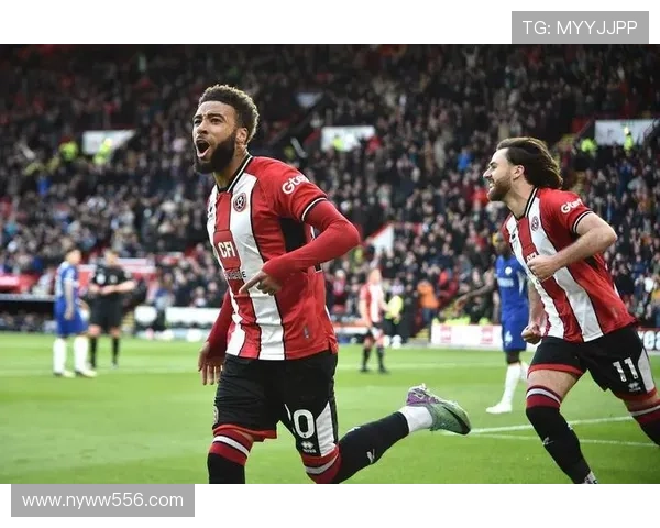 谢菲尔德星期三俱乐部迎来新赛季挑战 球队阵容调整备战更强竞争